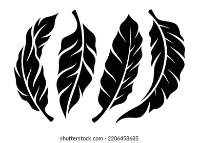 banana leaves isolated on white background. banana leaves, jungle. Silhouette of monstera leaves