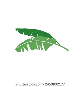 Banana leaves leaf background vector isolated