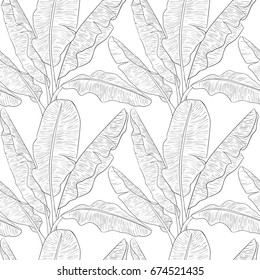 Banana leaves pattern 