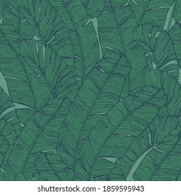 Banana leaves seamless pattern. Jungle greenery background for print, textile, fabric, cover design. Dark green tropical leaf in line art style. Vector illustration