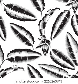 banana leaves seamless pattern on white background. banana foliage wallpaper. vintage banana leaves. gray banana leaf pattern. fashionable prints texture. spring wallpaper. autumn decorative. fall
