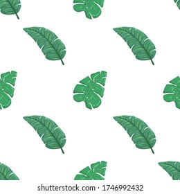 Banana leaves in seamless pattern for summer concept