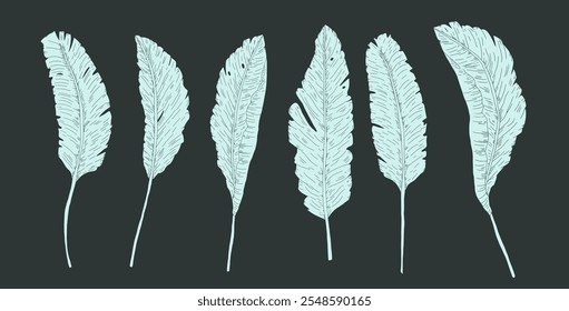 Banana leaves silhouette on dark background. Vector hand drawn collection illustration.