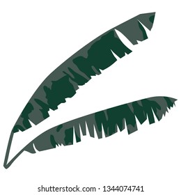 banana leaves, vector