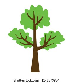
Banana like longer thin leafs in a tree got prolonged stem,
