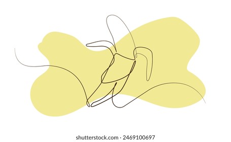 banana line art drawing.banana vector illustration isolated white and yellow background