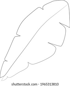 banana line art hand drawn vector illustration on white background