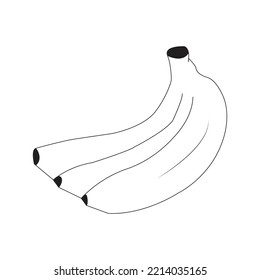 
Banana line art vector icon.