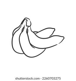 Banana line art vector illustration, Coloring book of healthy fruit. Banana fruit