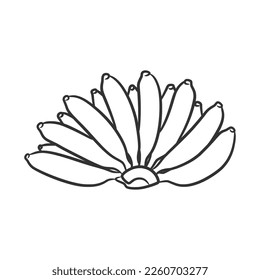 Banana line art vector illustration, Coloring book of healthy fruit. Banana fruit