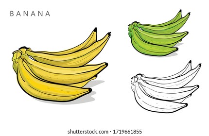 vectores de dibujo y coloración de la línea de plátanos