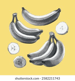 Banana line drawing illustration, arranged in various styles on a yellow background.