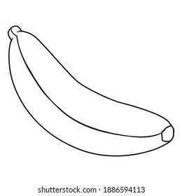 banana line vector illustration,isolated on white background,fruits top view