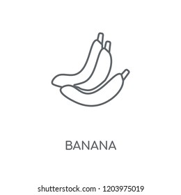 Banana linear icon. Banana concept stroke symbol design. Thin graphic elements vector illustration, outline pattern on a white background, eps 10.