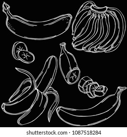 Banana linear illustration, vector