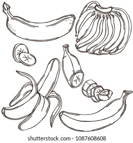 Banana linear illustration, vector