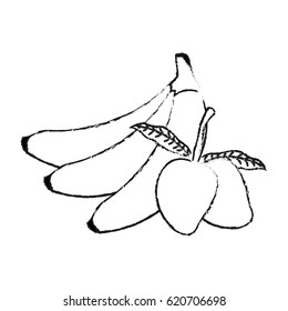 banana and mango  fruit icon image 