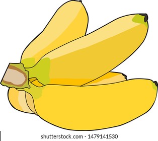 Banana Mas from Indonesia, which is tasty and delicious.  vector