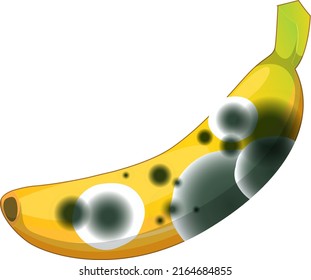 A banana with mould illustration