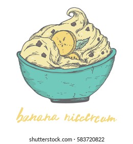 Banana Nice Cream Vector Raw Vegan desert recipe