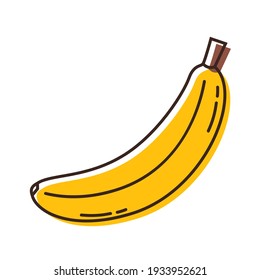 Banana on white background. Banana vector. sign. symbol. Banana logo design.