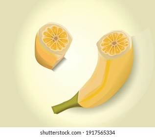Banana with orange inside made in vectors