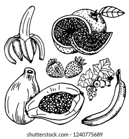 banana, orange, strawberry, blackcurrent, papaya isolated hand drawn sketch, tattoo, engraving, black and white