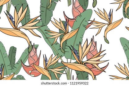 Banana palm anda paradise bird flower. Palm leaves and exotic flowers composition. Vector illustration. Botanical seamless background. Digital nature art.