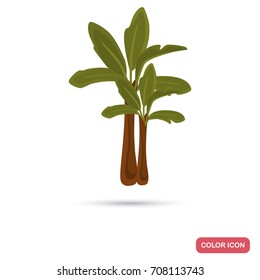 Banana palm color flat icon for web and mobile design
