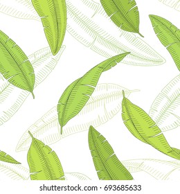 Banana palm leaf graphic color sketch seamless pattern illustration vector