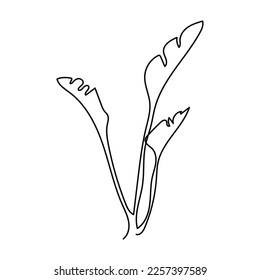 Banana palm leaf line art. Outline drawing tropical leaf. Minimalist style wall art. One continuous line decorative exotic foliage. Vector illustration isolated on white background