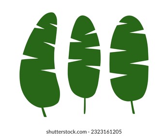 Banana palm leaf vector silhouette set. Flat style banana leaves set
