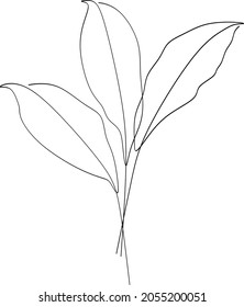 Banana Palm leaves continuous line drawing art. Abstract minimal botanical art.