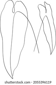 Banana Palm leaves continuous line drawing art. Abstract minimal botanical art.