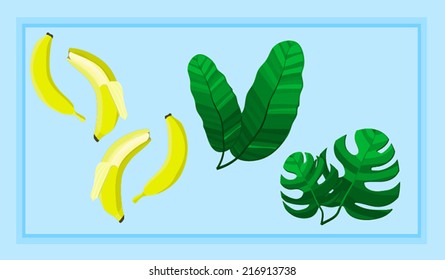 banana and palm leaves design elements