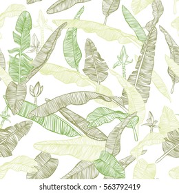 Banana palm leaves, flowers and branches. Decorative seamless vector botanical pattern isolated on white background.