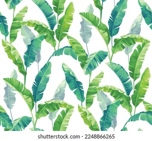 Banana palm leaves. Seamless pattern with tropical plant. Realistic botanical illustration. Vector foliage background.