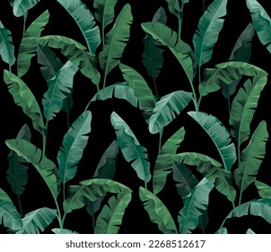 Hojas de palma de plátano. Patrón sin foco con planta tropical. Ilustración botánica realista. Fondo del follaje vectorial.