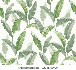 Banana palm leaves. Seamless pattern with tropical plant. Pastel colors. Realistic botanical illustration. Vector foliage background.