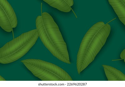 Banana palm leaves vector design. Banana leaves green element in environmental wallpaper artwork. Vector illustration palm leaves background. 
