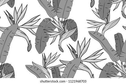 Banana palm and paradise bird flower. Palm leaves and exotic flowers composition. Vector illustration. Botanical seamless background. Digital nature art.