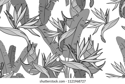 Banana palm and paradise bird flower. Palm leaves and exotic flowers composition. Vector illustration. Botanical seamless background. Digital nature art.