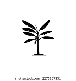 Banana-Palme-Symbol einzeln auf Vektorgrafiken