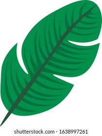 banana palm tree pattern ornament tropical leaves
