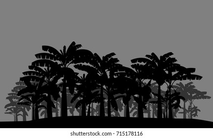 Banana palm tree vector.