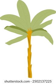 Banana palm tree vector design, banana tree on white background