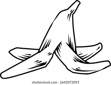 Banana peel line drawing illustration  