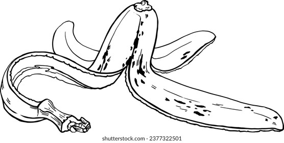 Banana peel. Linear drawing of ripe peel with spots. Vector image for printing on clothes, dishes, bags and other items. Bio Waste and food waste. Biodegradable products. Environmental protection.