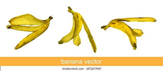 Banana peel on white background in line style vector