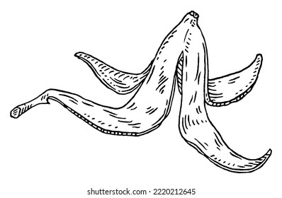 Banana peel. Vintage vector engrave black monochrome illustration. Isolated on white background. Hand drawn design ink